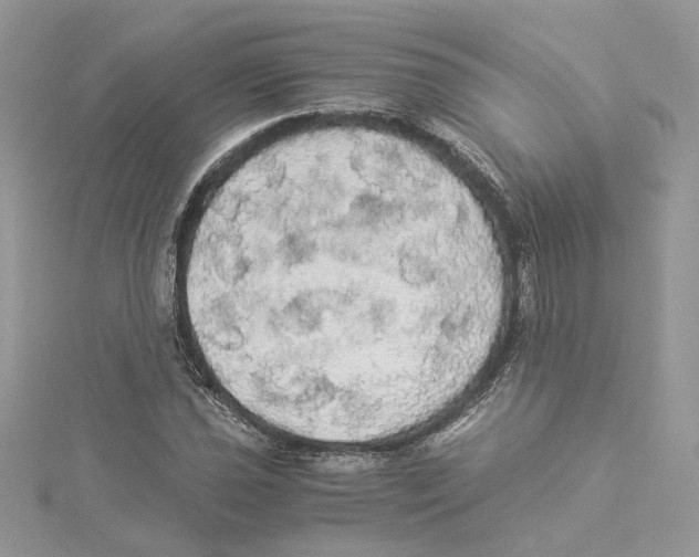 X0000114541021200911161353