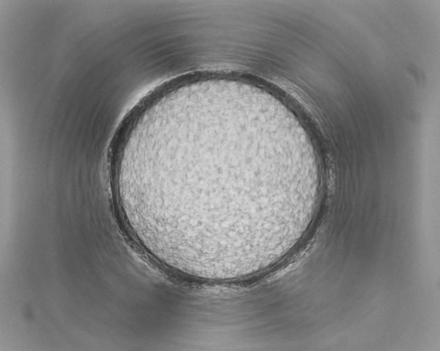 X0000114541022200911161353