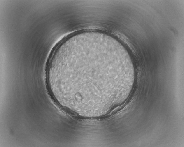 X0000114541024200911161353