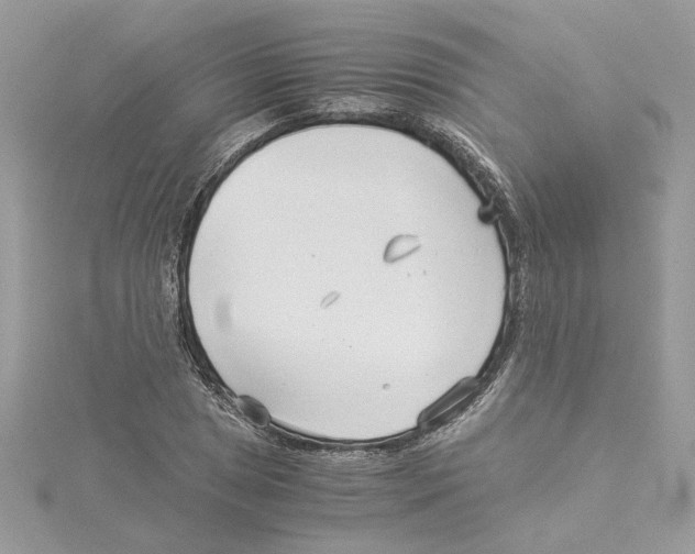 X0000114541025200911161353