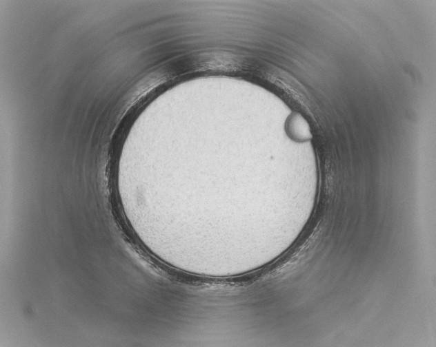 X0000114541026200911161353