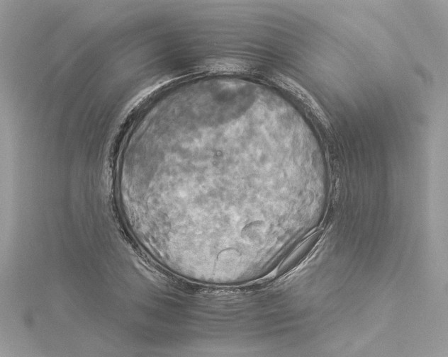 X0000114541027200911161353