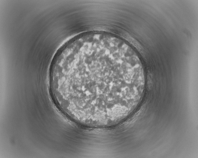 X0000114541028200911161353