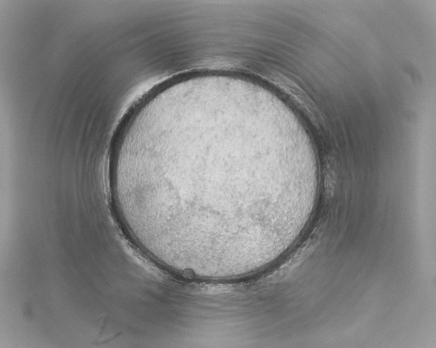 X0000114541030200911161353