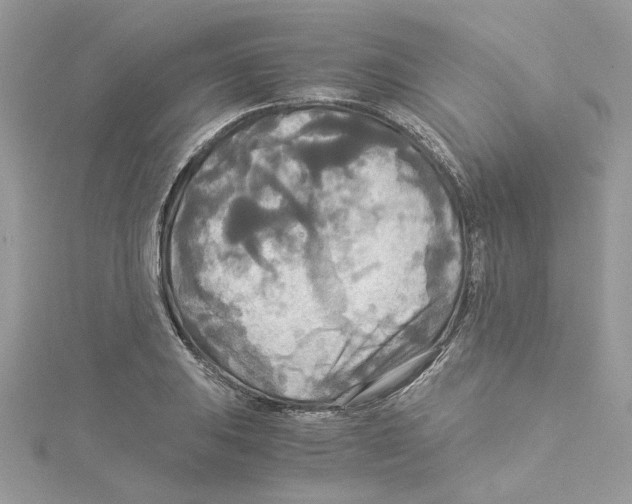 X0000114541031200911161353