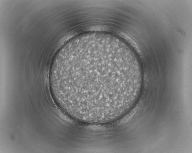 X0000114541033200911161353