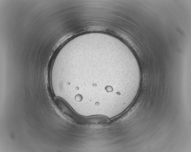 X0000114541034200911161353