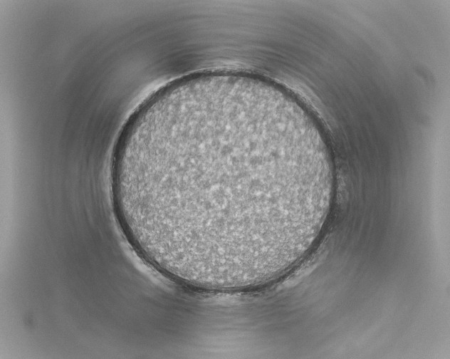 X0000114541038200911161353