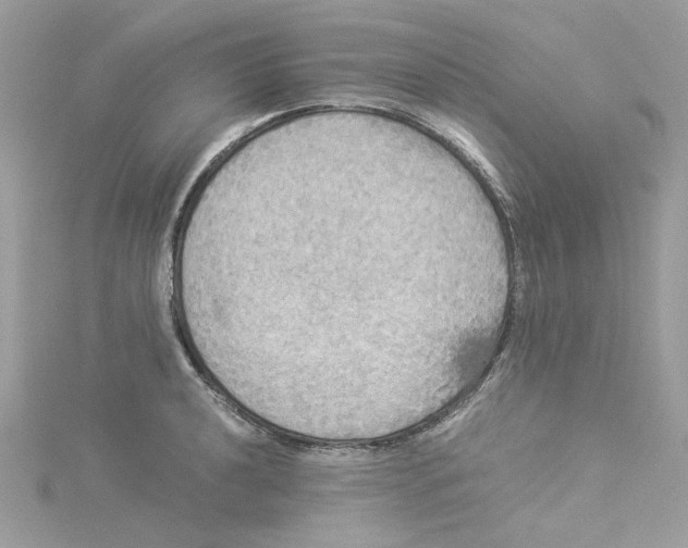 X0000114541040200911161353