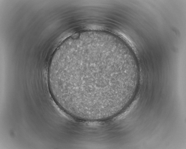 X0000114541041200911161353