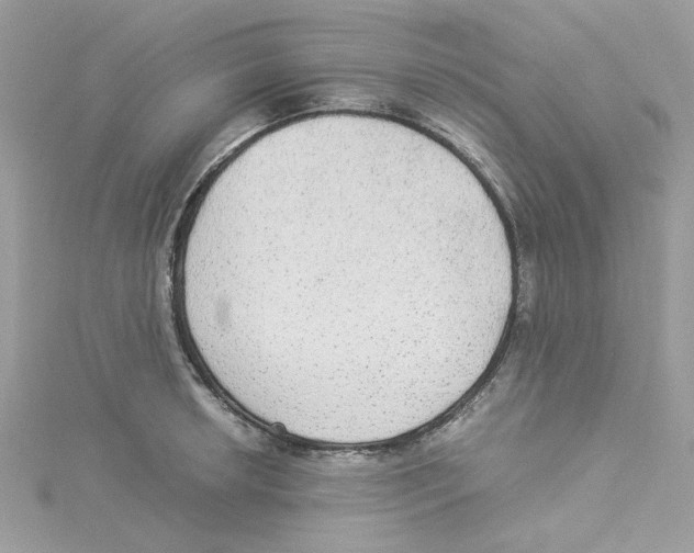 X0000114541042200911161353