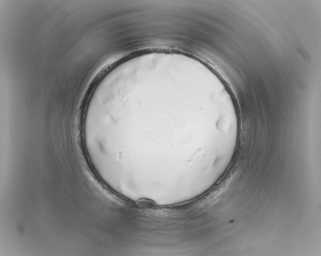 X0000114541045200911161353