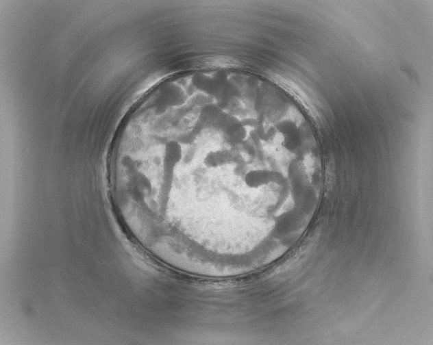 X0000114541047200911161353