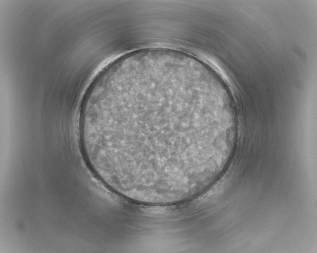 X0000114541048200911161353