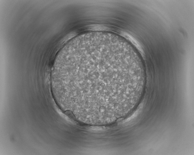 X0000114541049200911161353