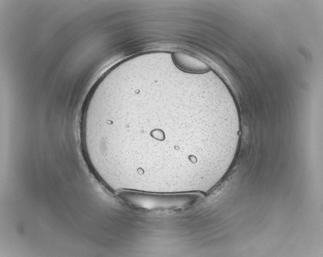 X0000114541050200911161353