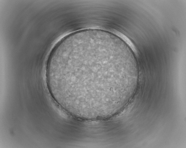 X0000114541051200911161353