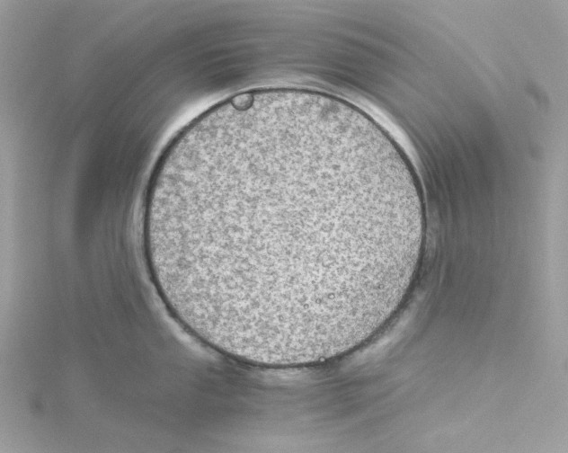 X0000114541053200911161353