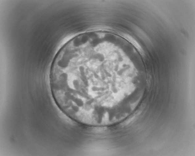 X0000114541055200911161353