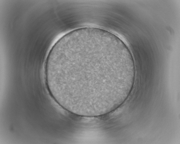 X0000114541056200911161353