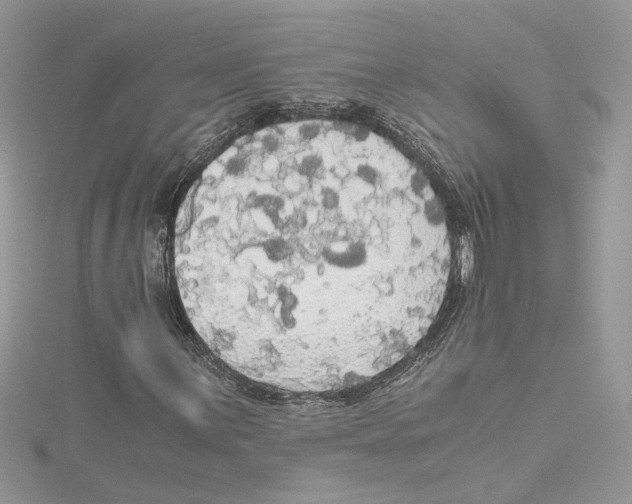 X0000114541059200911161353