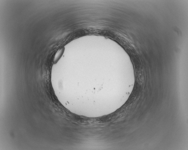 X0000114541061200911161353