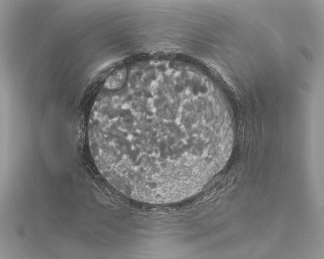 X0000114541063200911161353