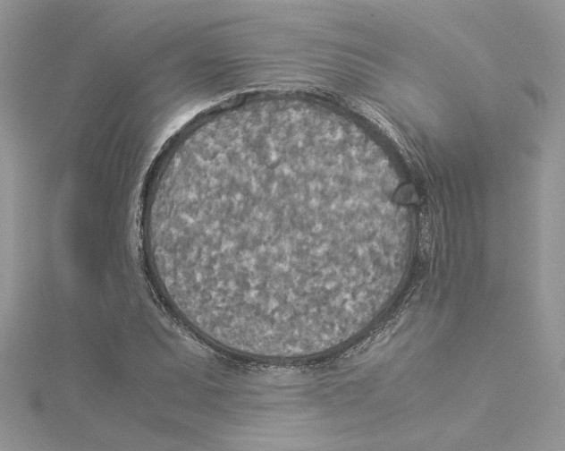 X0000114541071200911161352