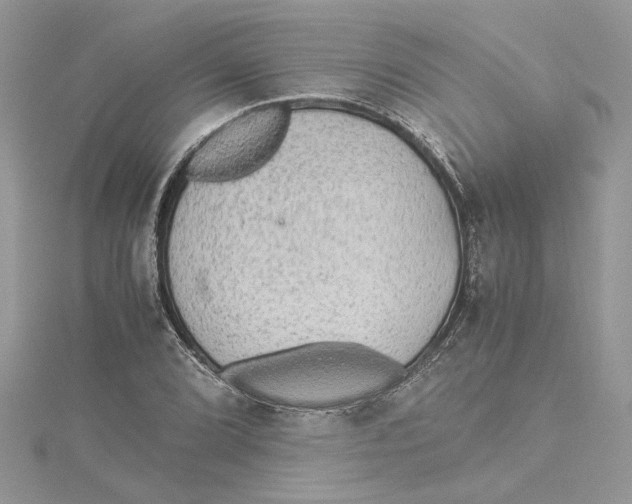 X0000114541072200911161352