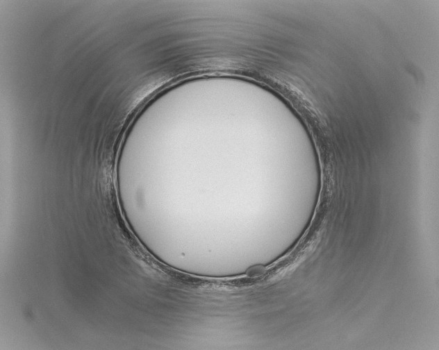 X0000114541073200911161352