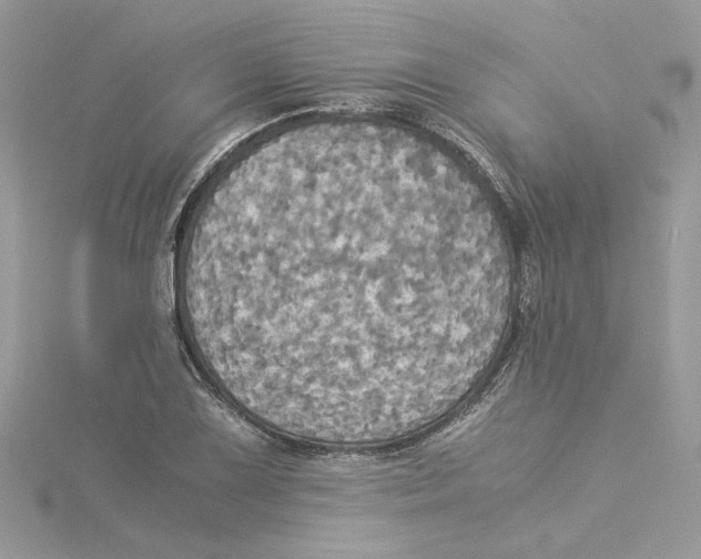 X0000114541075200911161352