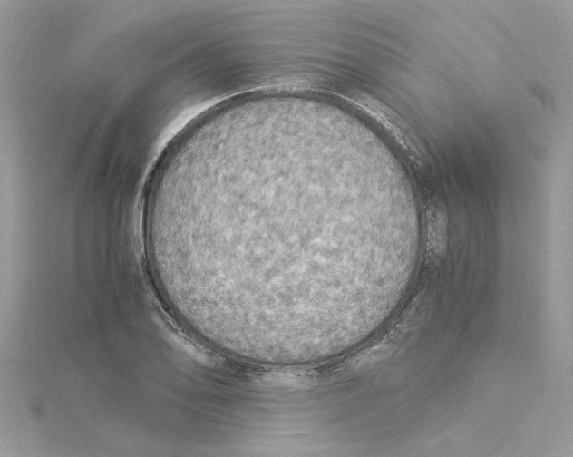 X0000114541078200911161352