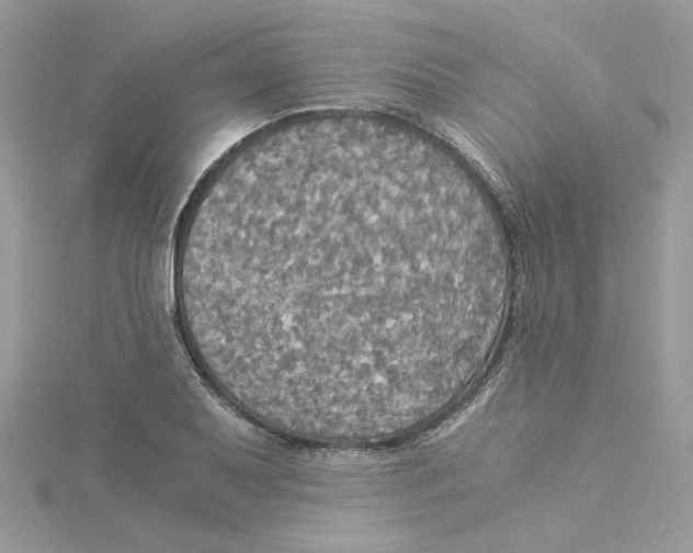 X0000114541079200911161352