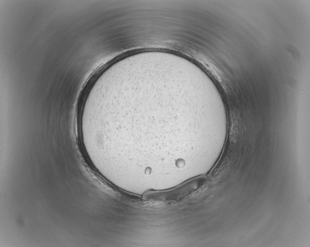 X0000114541080200911161352