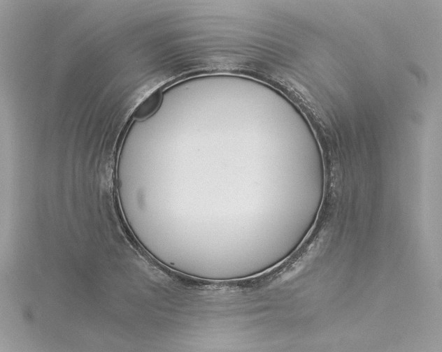 X0000114541081200911161352