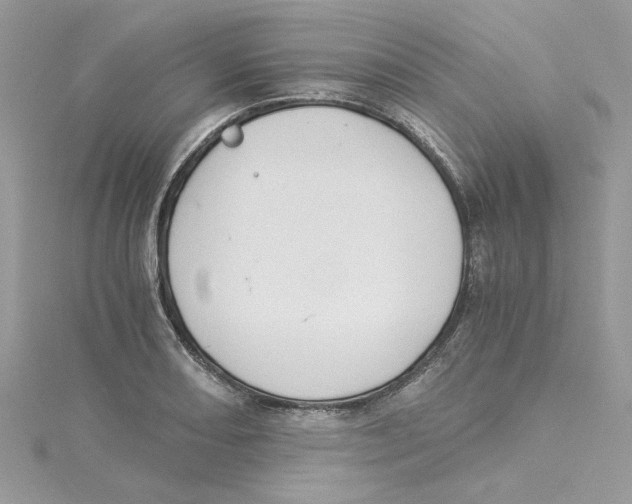 X0000114541082200911161352