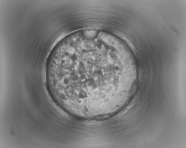 X0000114541083200911161352