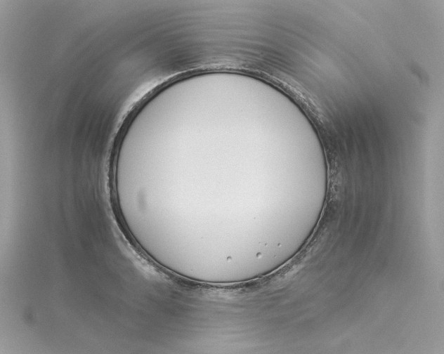 X0000114541086200911161352