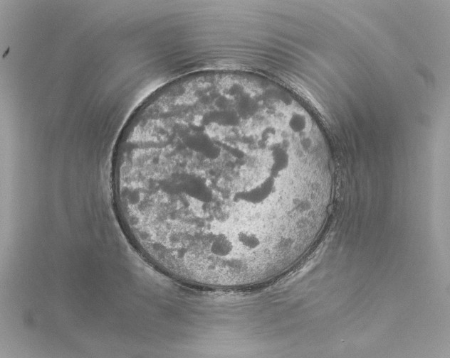 X0000114541087200911161352