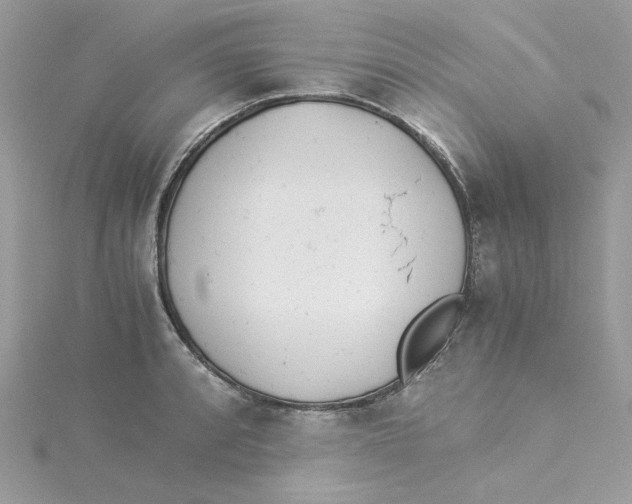 X0000114541088200911161352