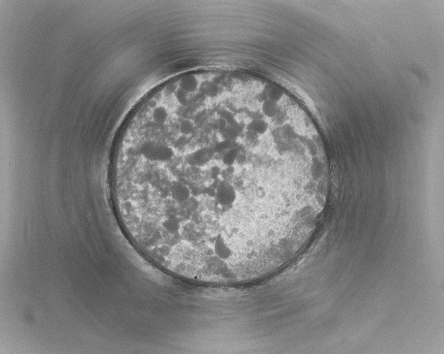 X0000114541091200911161352