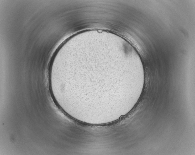 X0000114541092200911161352