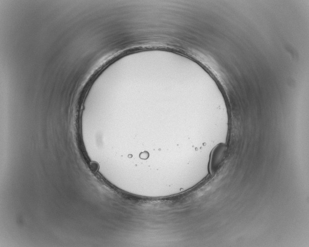 X0000114541093200911161352