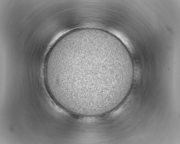 X0000114541094200911161352