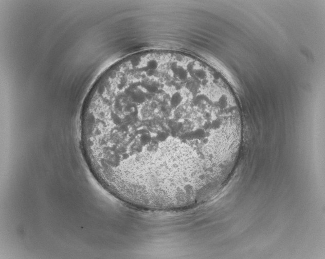 X0000114541095200911161352