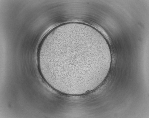 X0000114541096200911161352