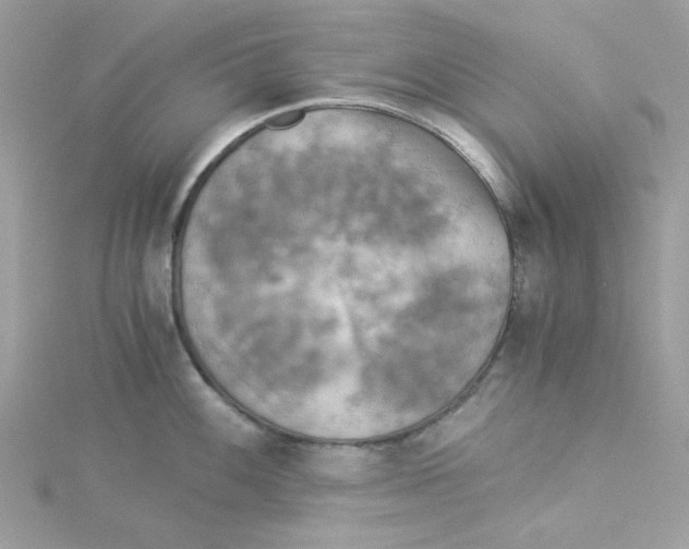 X0000114541100200911161352