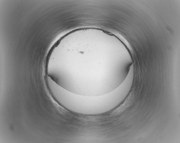 X0000114541101200911161352