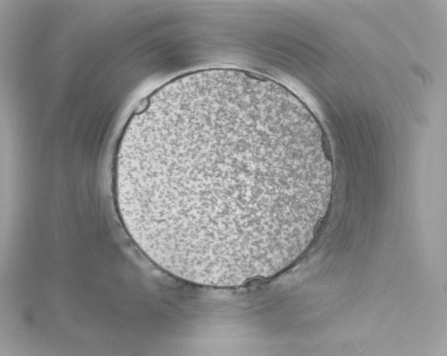 X0000114541104200911161352