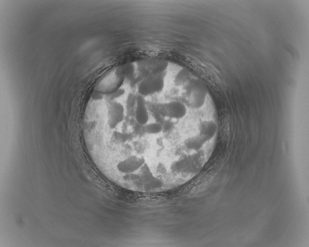 X0000114541105200911161351